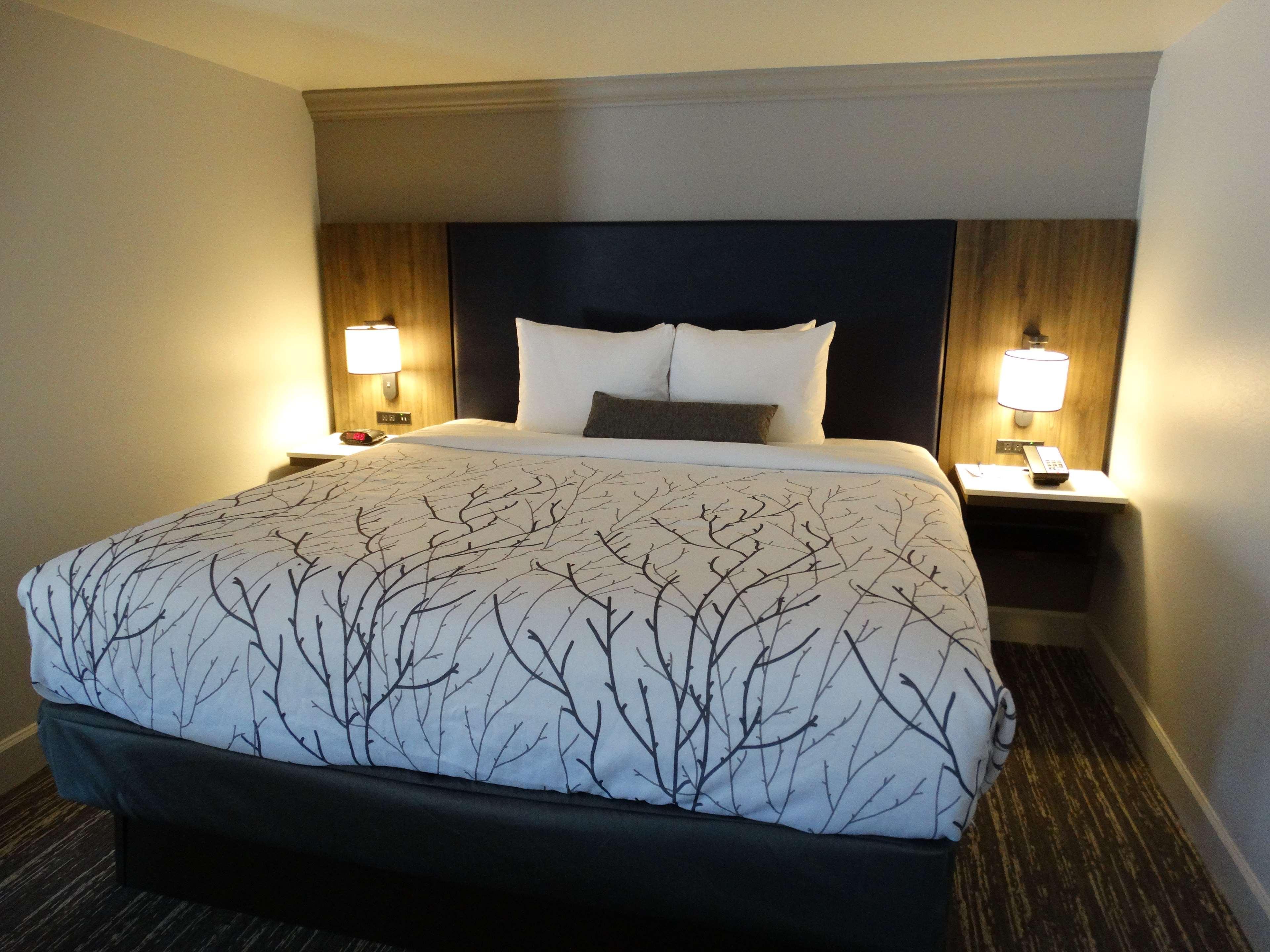 Best Western Premier Denver East Zimmer foto